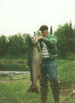 65 lb King Salmon