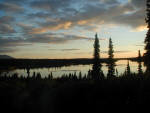Western Alaska Caribou Sunset